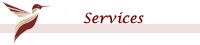 Our Services